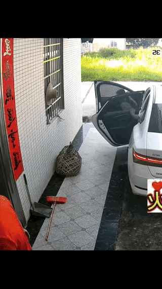 穿拖鞋开车本身就非常危险，这个女子也没有在乎这些事，结果在下车的时候，还是出事儿
