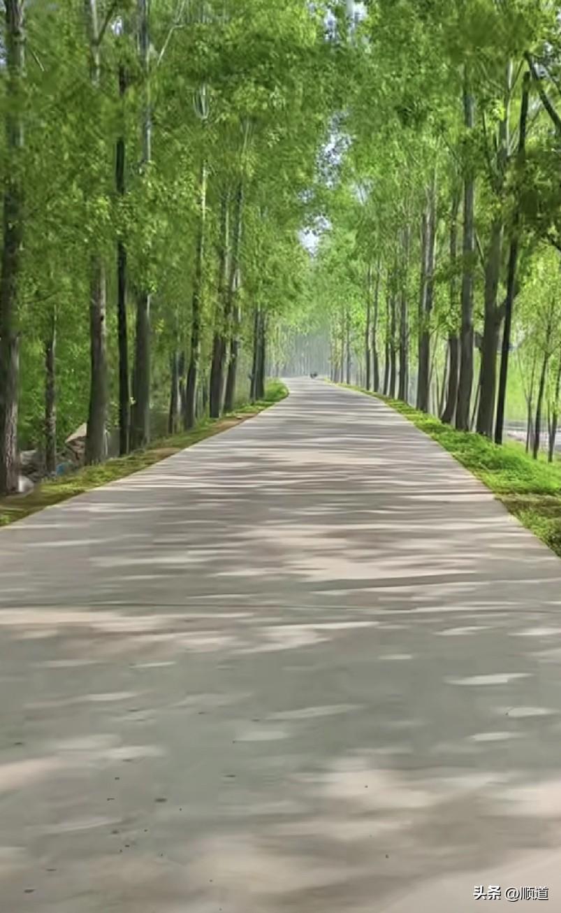 哈哈哈哈，又要逗死我了，原来豆包也封号。
男子说他看到一个新闻，一个人总往豆包上