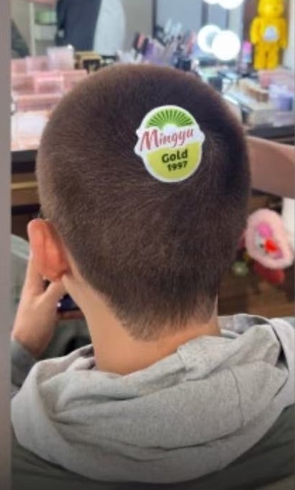 珉奎直播了啊啊啊啊啊啊封面是贴上了猕猴桃的珉奎🤣🤣上面还有名字mingyu 