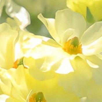 每日一善   每日一善   阳光信用 在繁华中自律，在落魄中自愈，谋生的路上，不