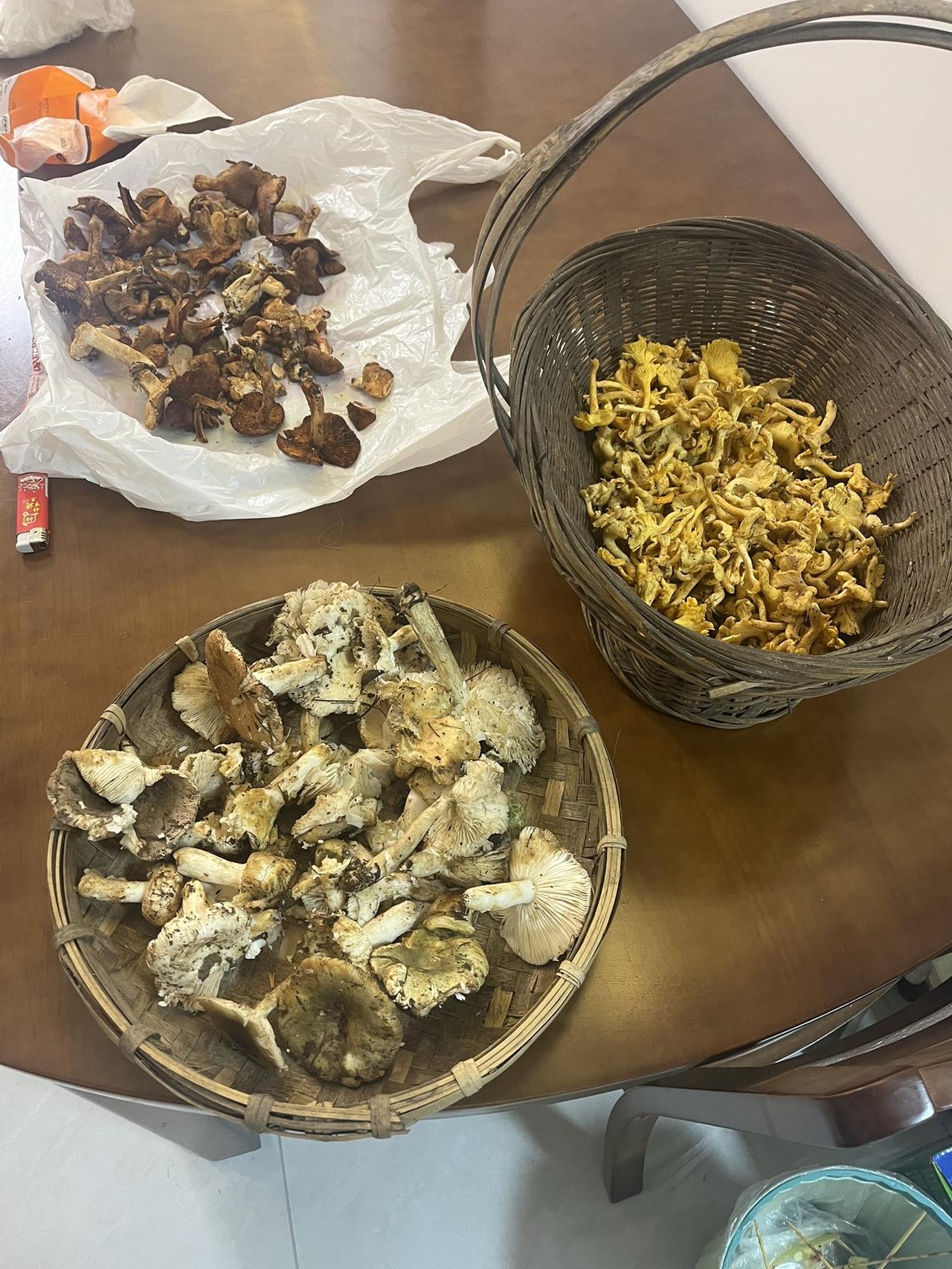 我们终其一生寻找的，应该是自己喜欢的生活方式