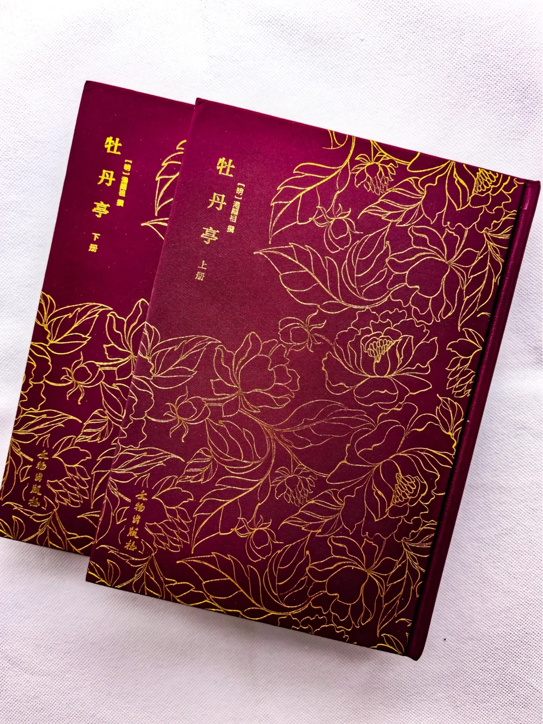顶级恋爱脑的黄粱一梦？看官里面请！