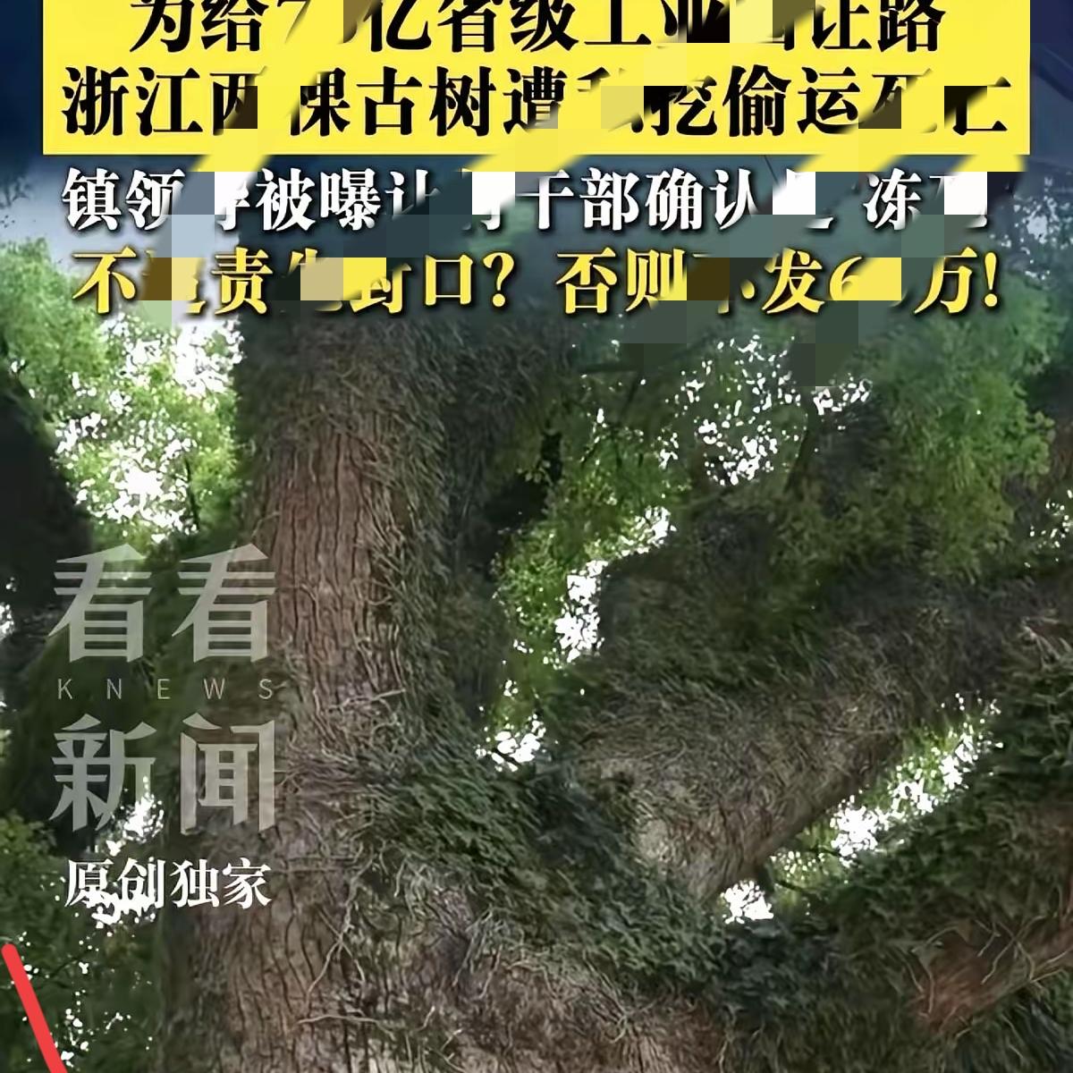 25岁独子骤然离世，单亲妈妈半生坚守，终究落得一场空
 
昨天朋友家的天塌了。