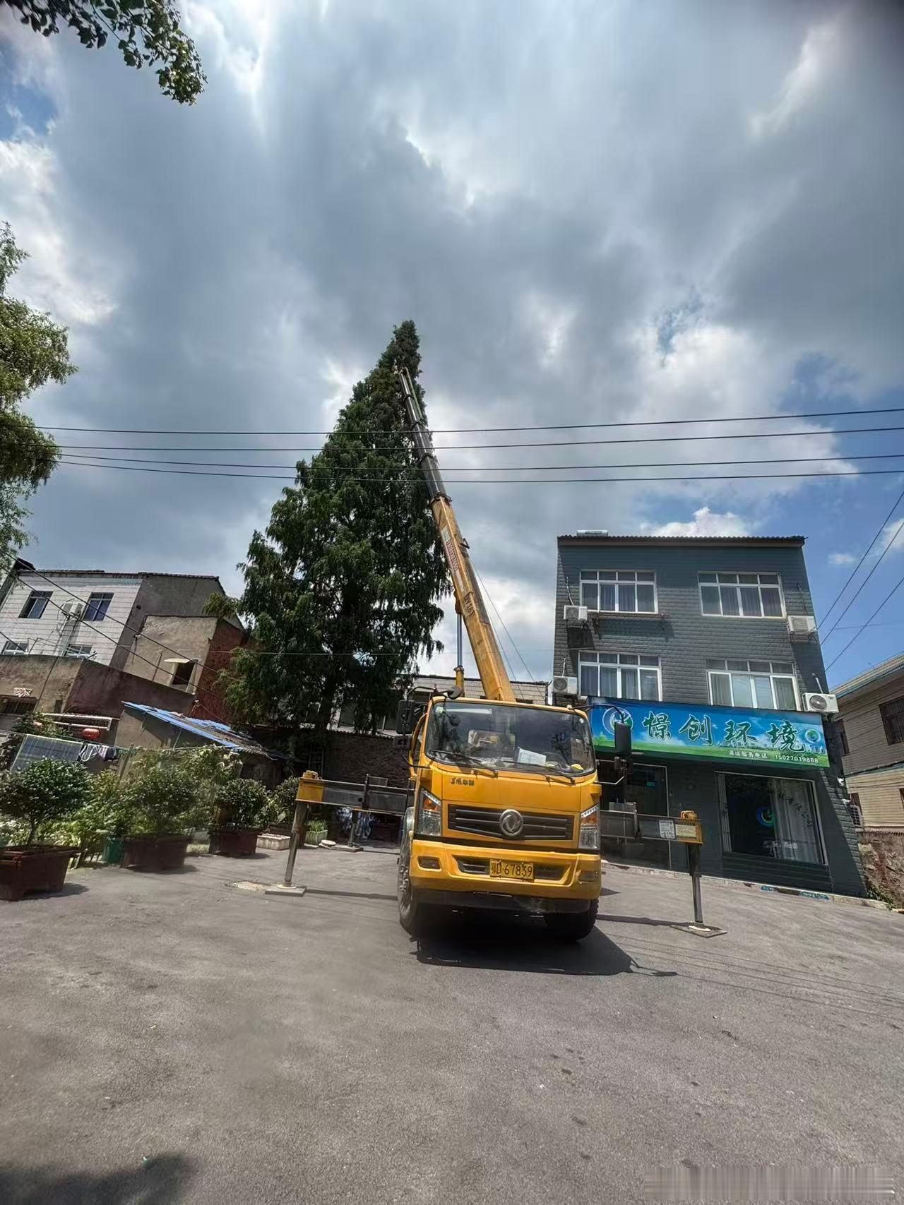 巴威台风闻名惧，十防十空亦争取。慢说研判不作为，超市九空拉内需。        