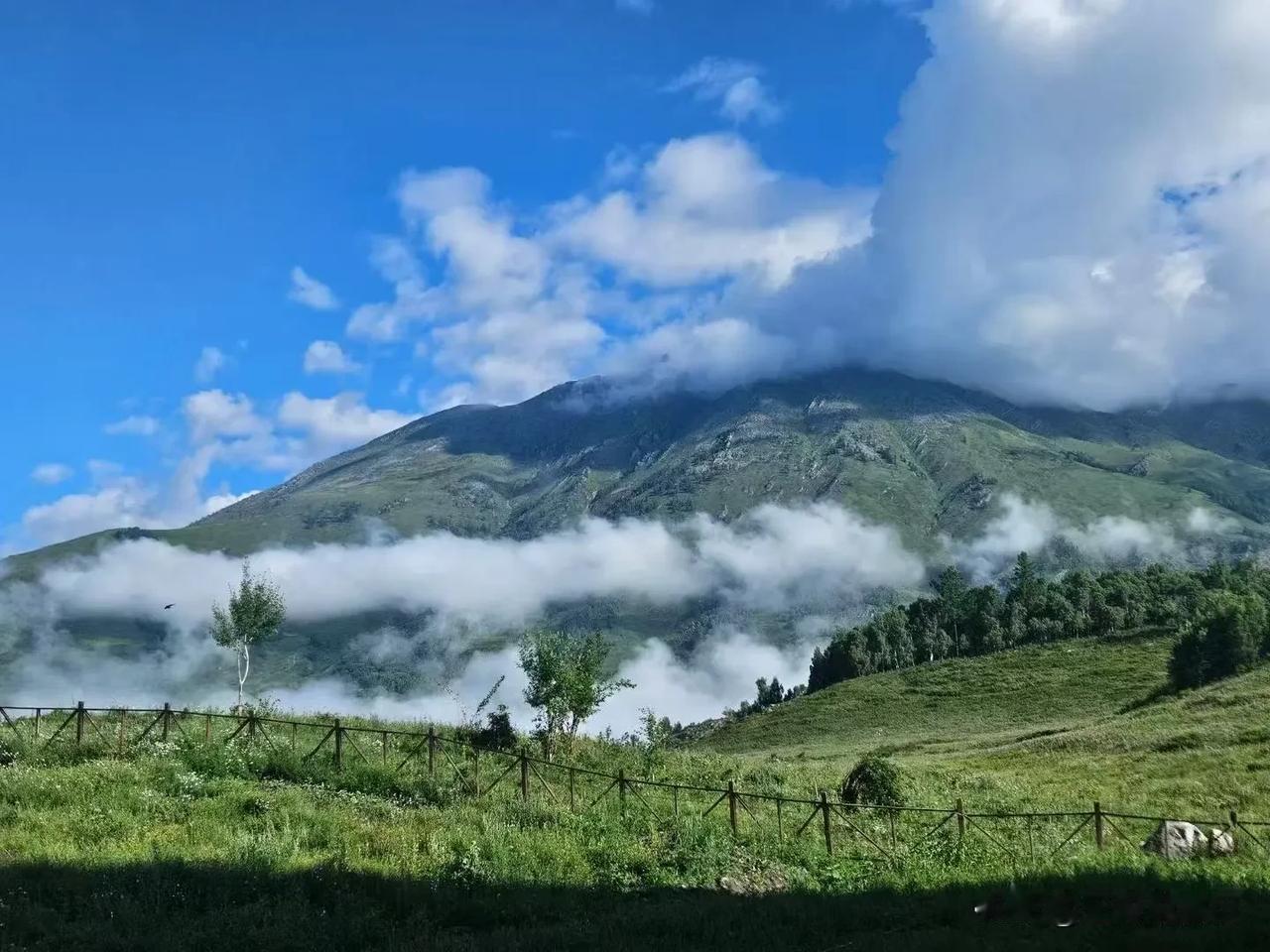 凑个热闹 🍃 挤趟人海🫧