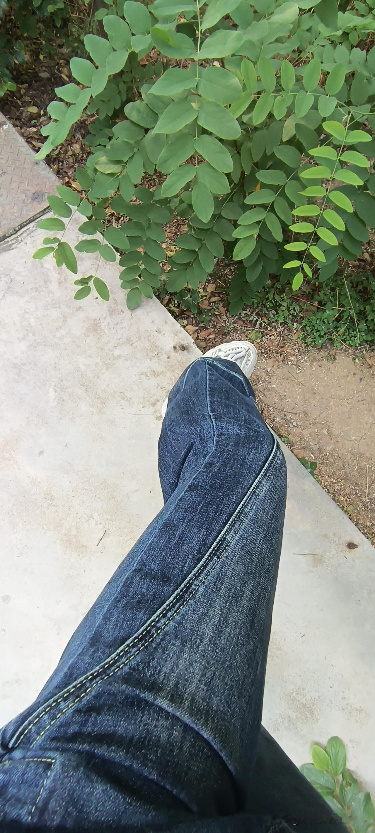 还别说，这种剪裁的牛仔裤真的显得自己的腿又长又细。
我这是从大街上走着路拍的，我
