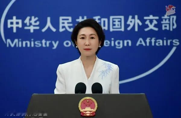 要求胡塞武装放行中国船只？外交部直接回应：应当共同守护

在7月29日的外交部记