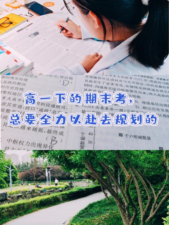 高一下学期的期末考，总要全力以赴去规划的