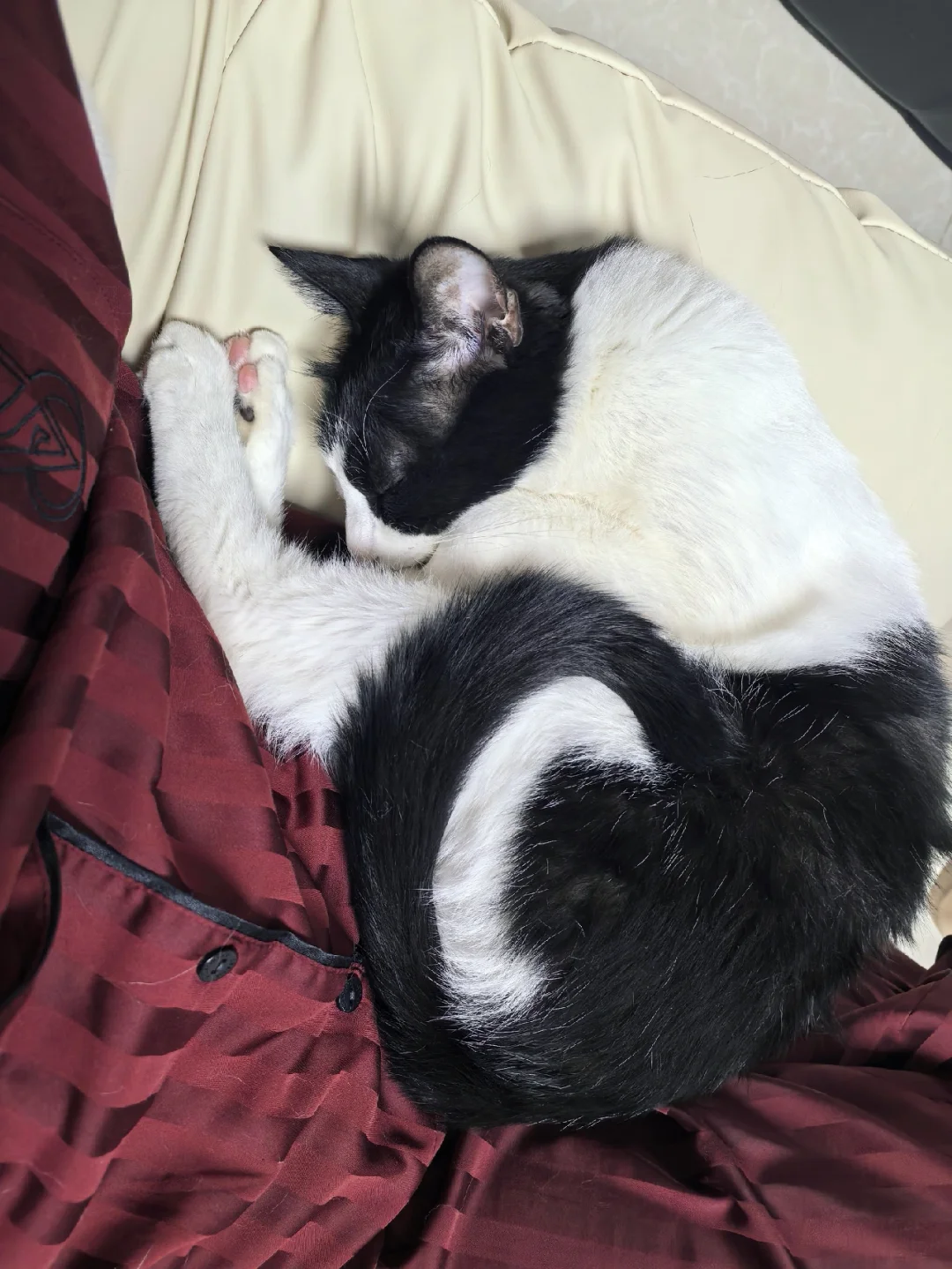 坐哪儿都要贴贴