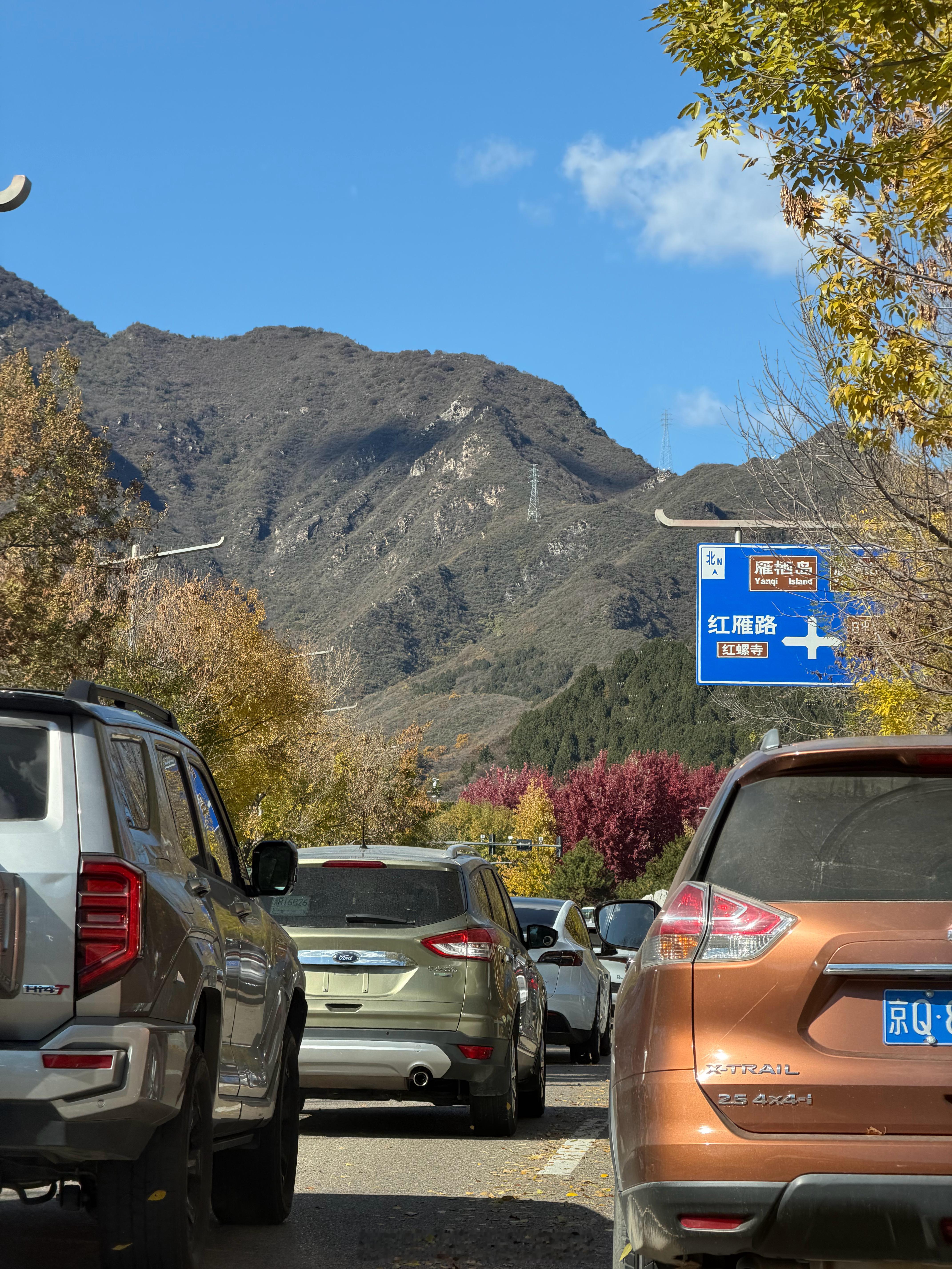 我说山里这么堵都是来看红叶的赓言赓语[超话]  ​​​