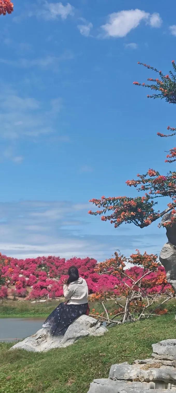 支持友友观点[比心]失眠要自我调节，特别要规律休息，控制情绪，药物还是尽量不用好