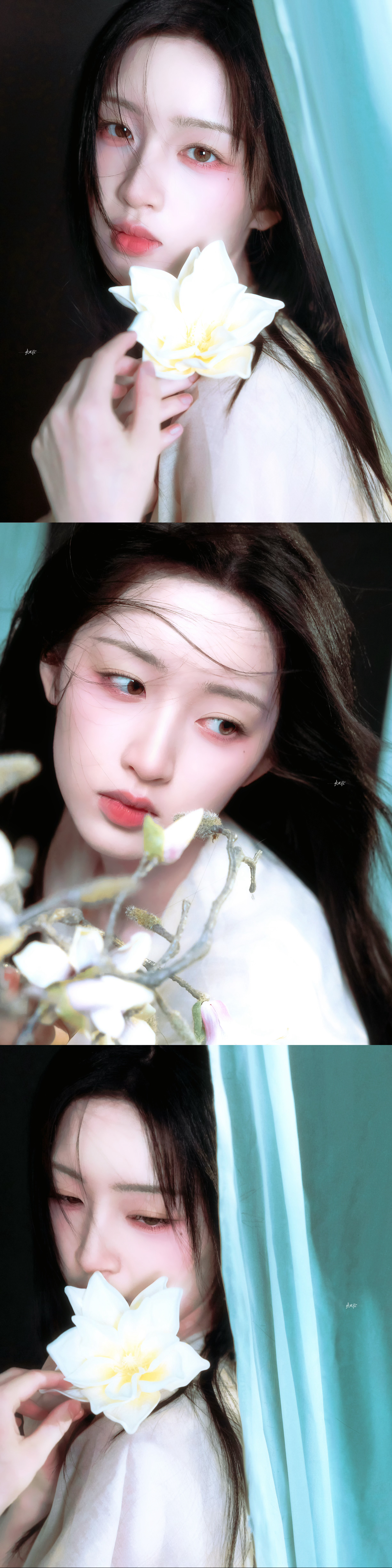茉莉花 𓆸𓆰 