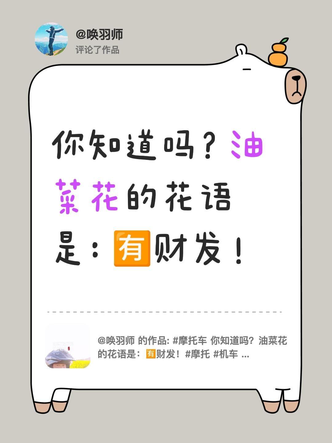 我评论了@唤羽师 的作品：
你知道吗？油菜花的花语是：🈶财发！
