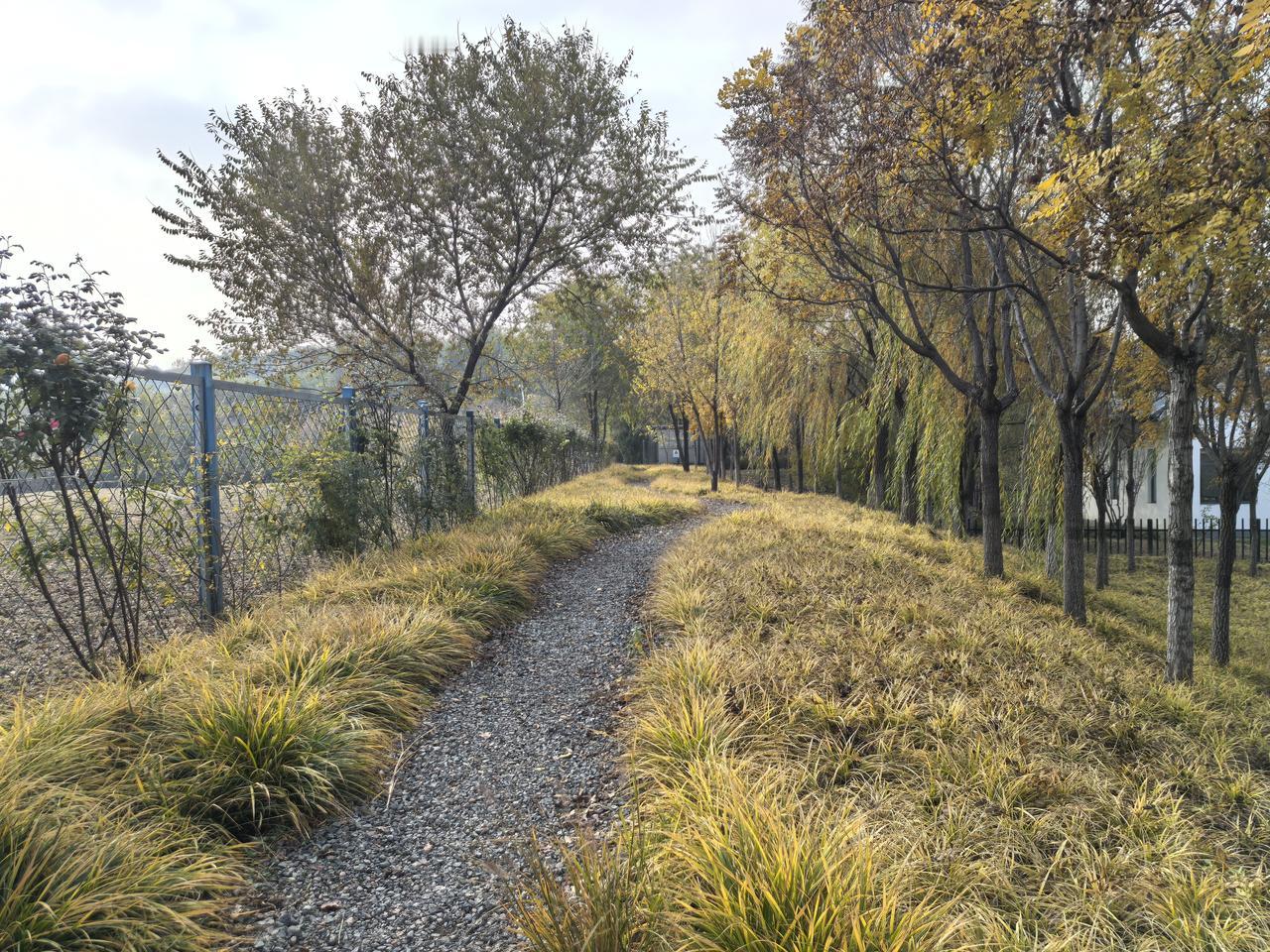河南老家农忙的时候休息，在树荫下村里的大人们经常下棋，那时候我还小，在一边观战。