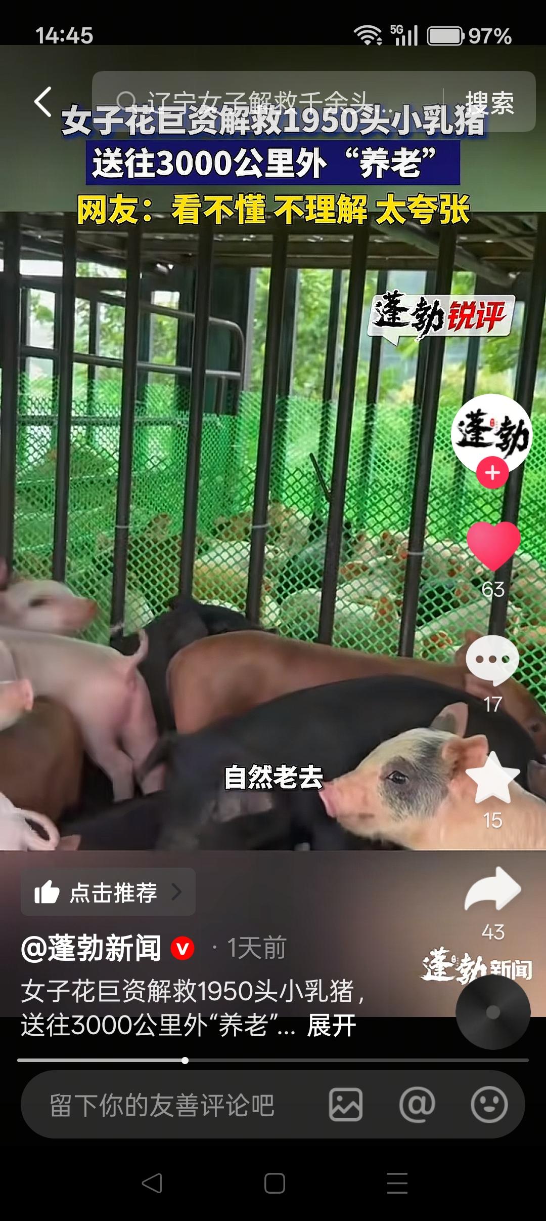 花钱救小猪，比拦路抢猫狗好得多！

2026年4月初，广东茂名一养殖场因资金链断