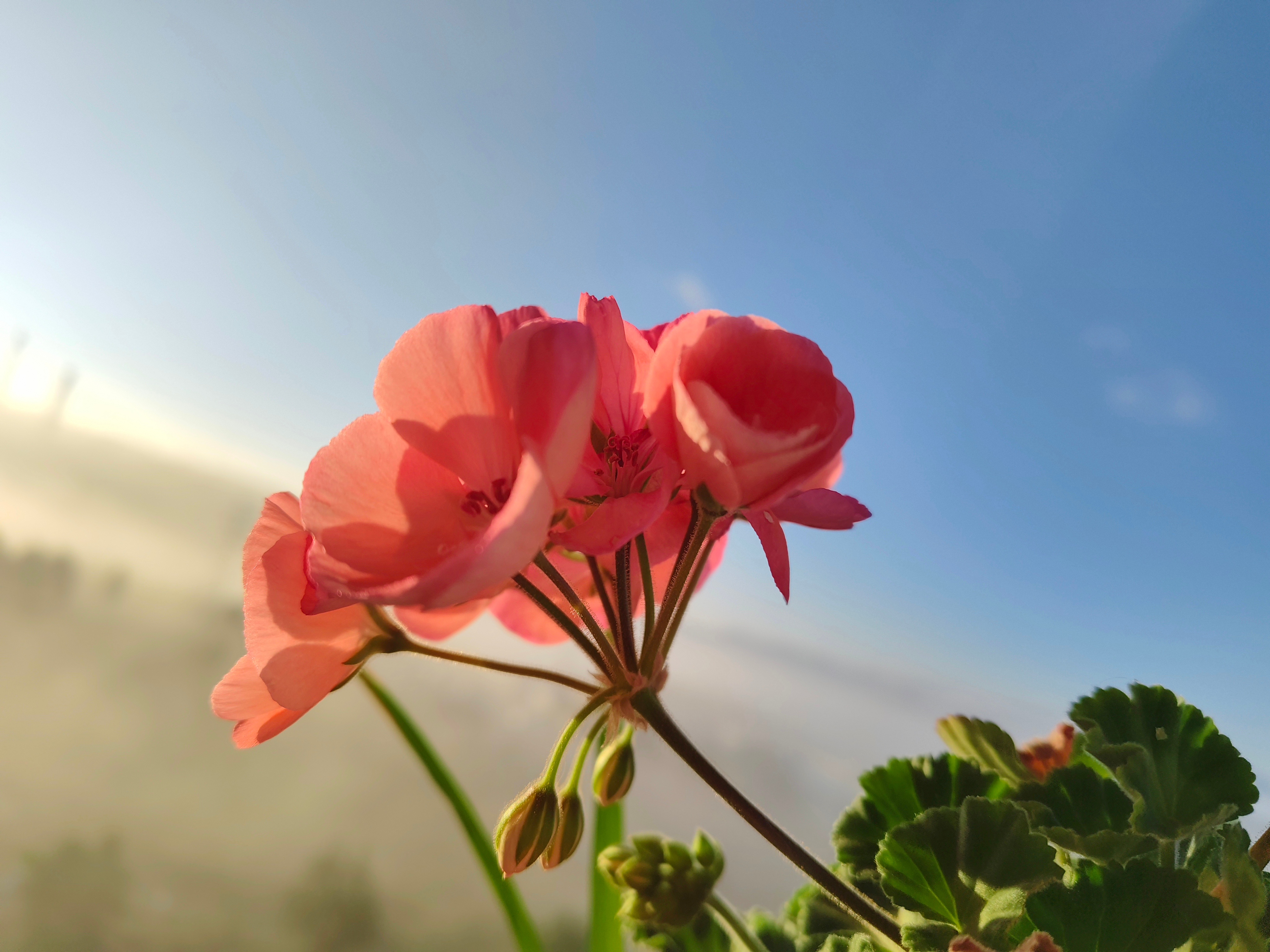 早晨起来雾蒙蒙的， 现在已经大雾散去，露出了蓝天白云。昆明[超话]  ​​​