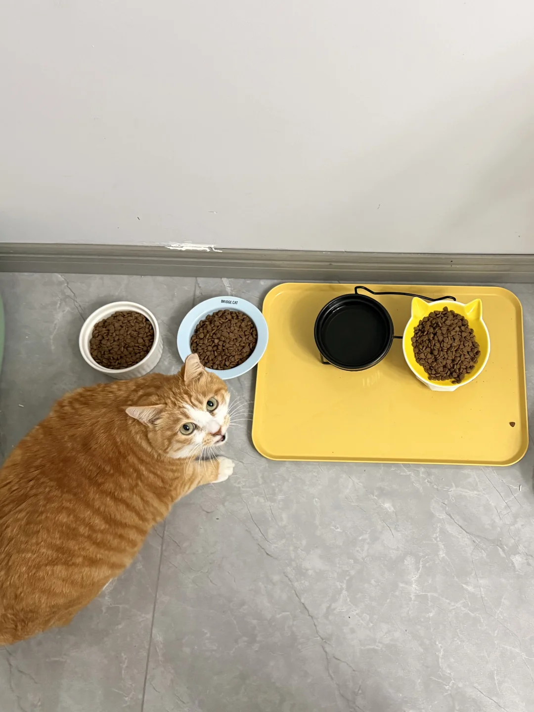 答应我过完年不许长胖好吗？