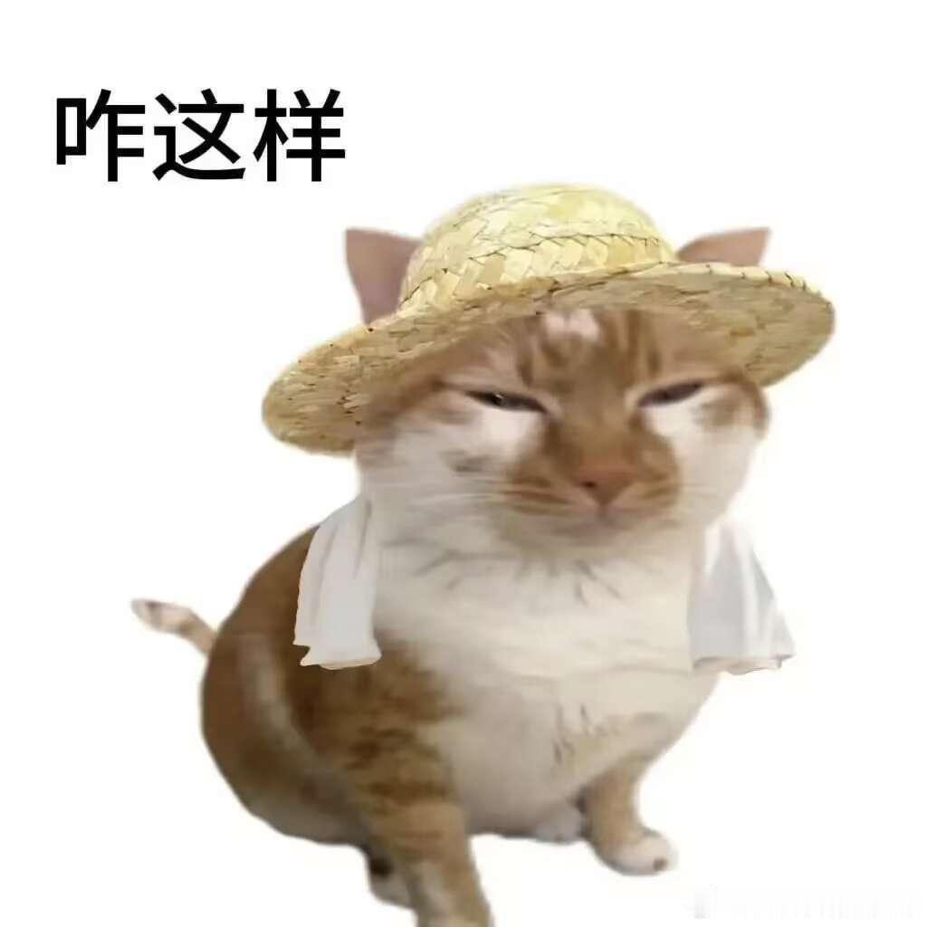 加了个制品团，我寻思刚进群发个表情包打招呼吧，结果半天过去了根本没有人理我，好尴