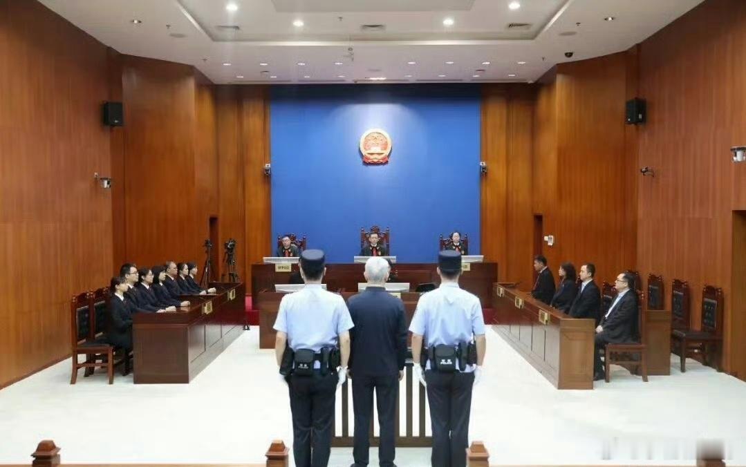 只要是无期 那就好办了恒大集团被罚88.2亿元