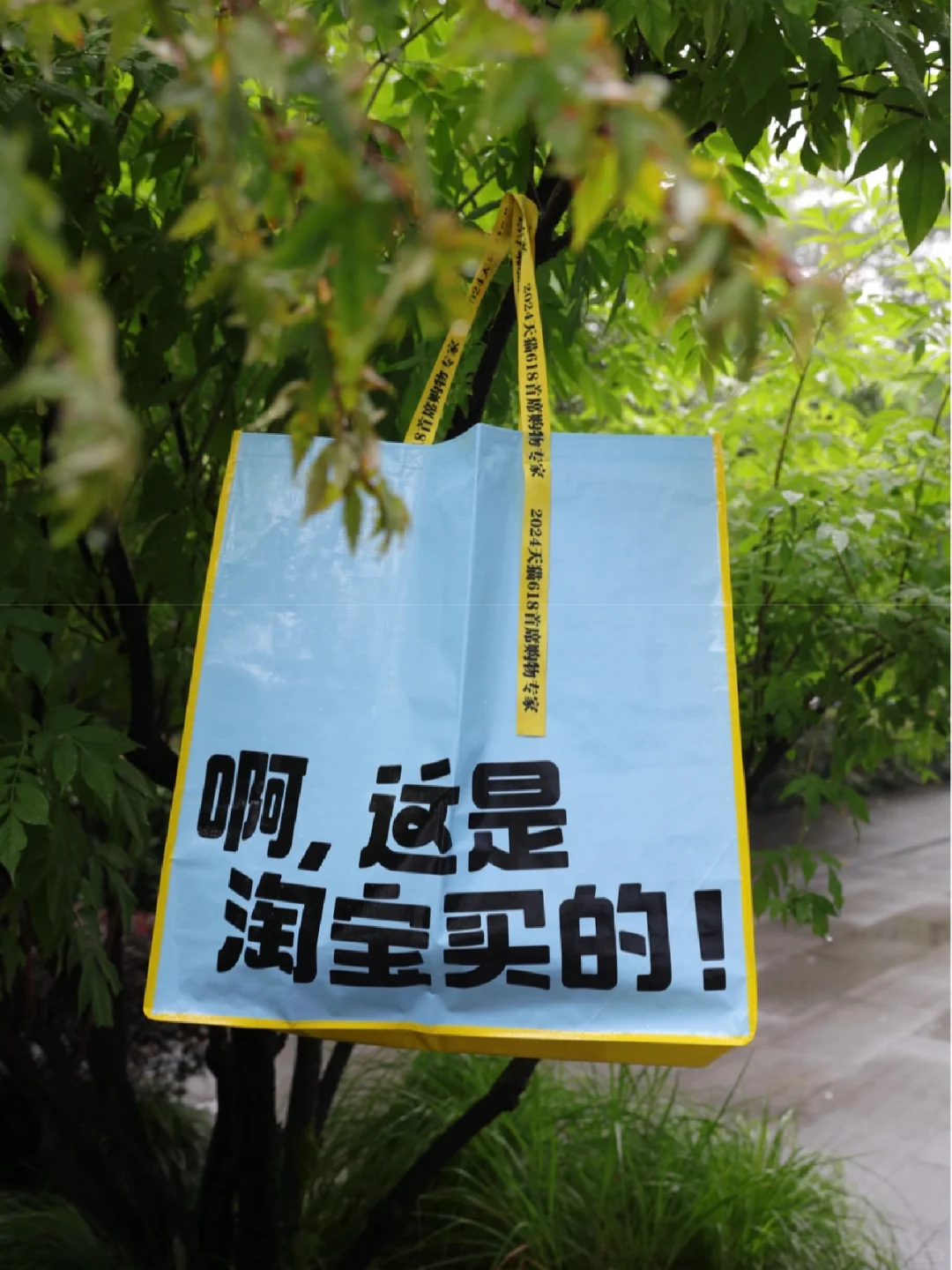 都收到通知了吗！！天目里领到的大袋子！！！