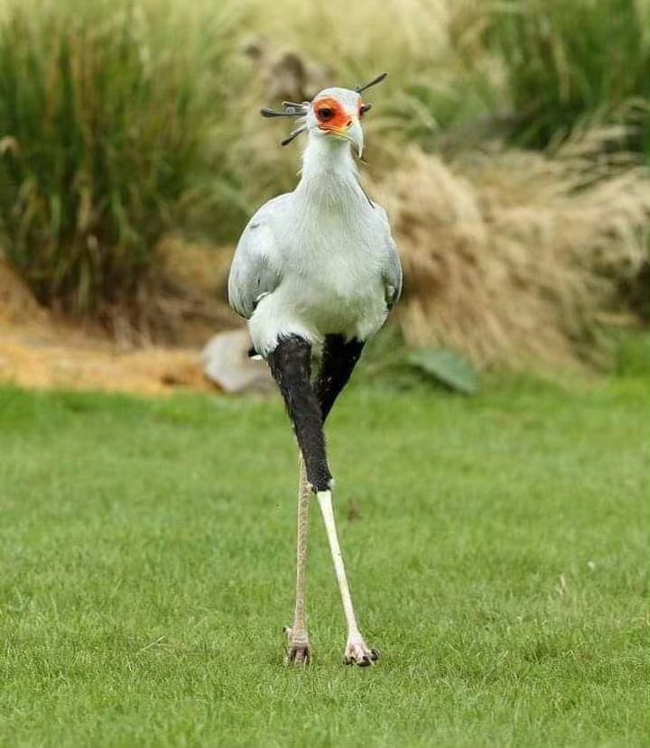 👠 ​​​