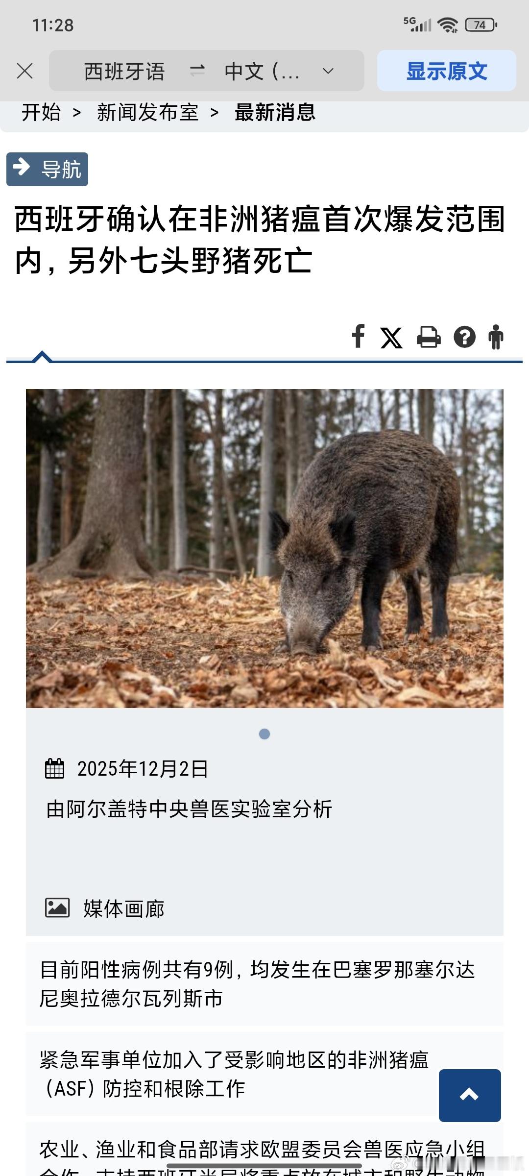 尼玛猪肉也要涨价了是吧
