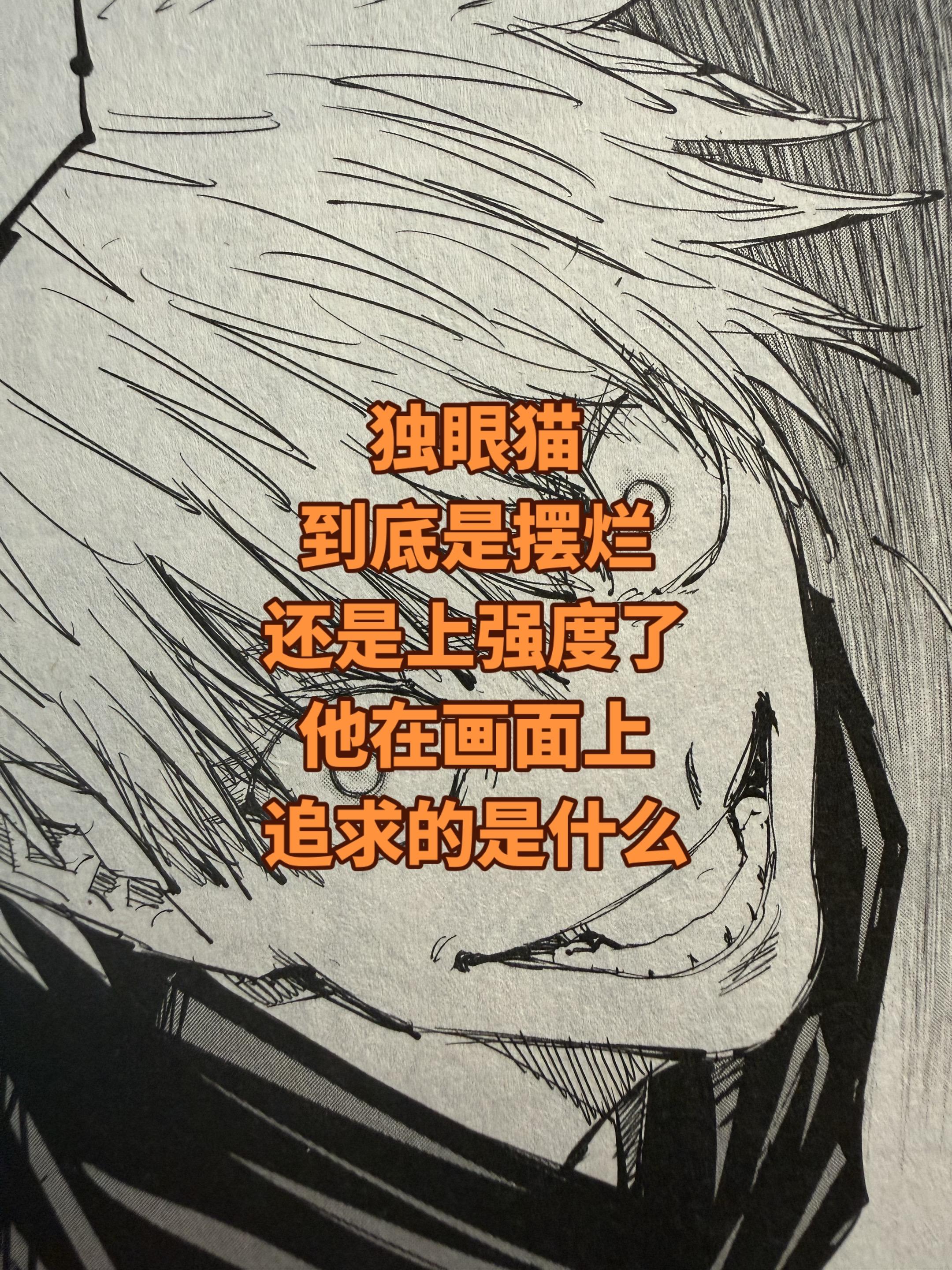独眼猫提到过一位漫画家沙村广明。他认为沙村广明的文戏非常的出色。这个倒...