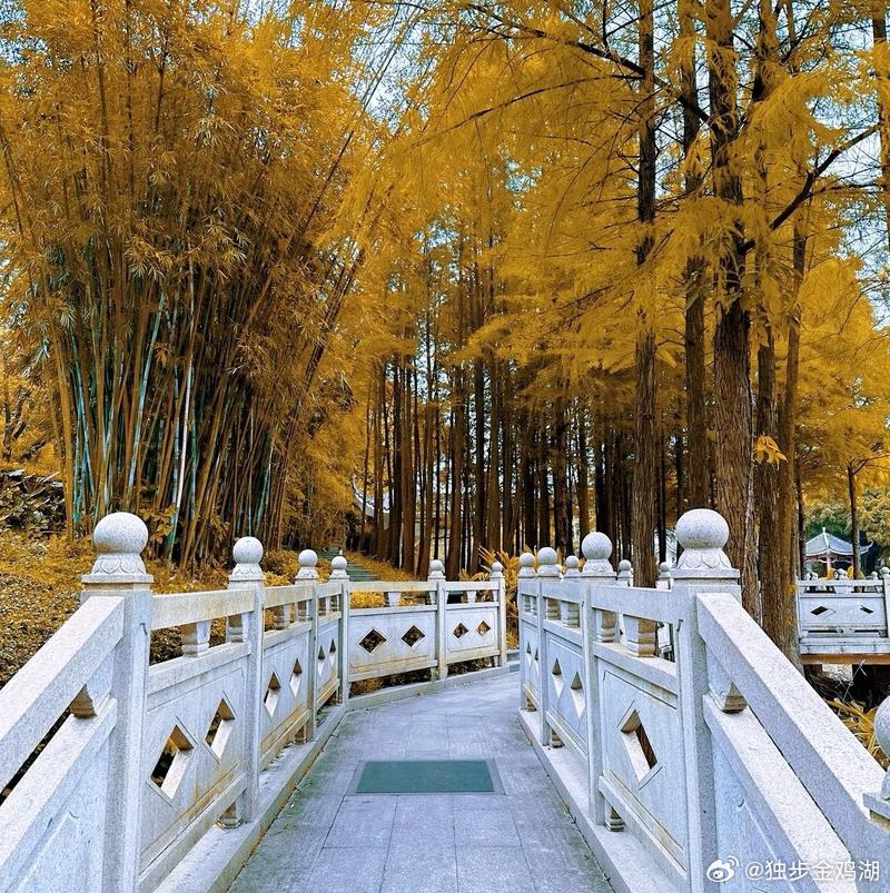 健康最重要，不要用健康去换身外之物。      