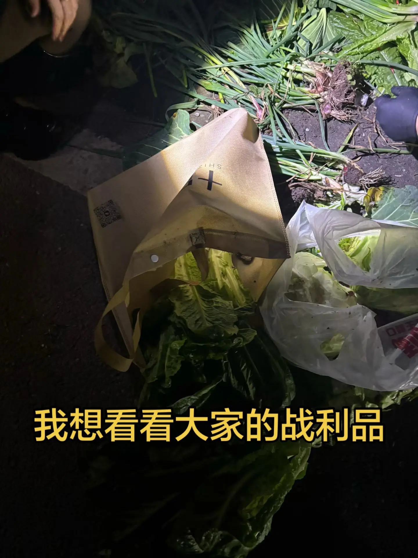 我想看看大家今晚的战利品