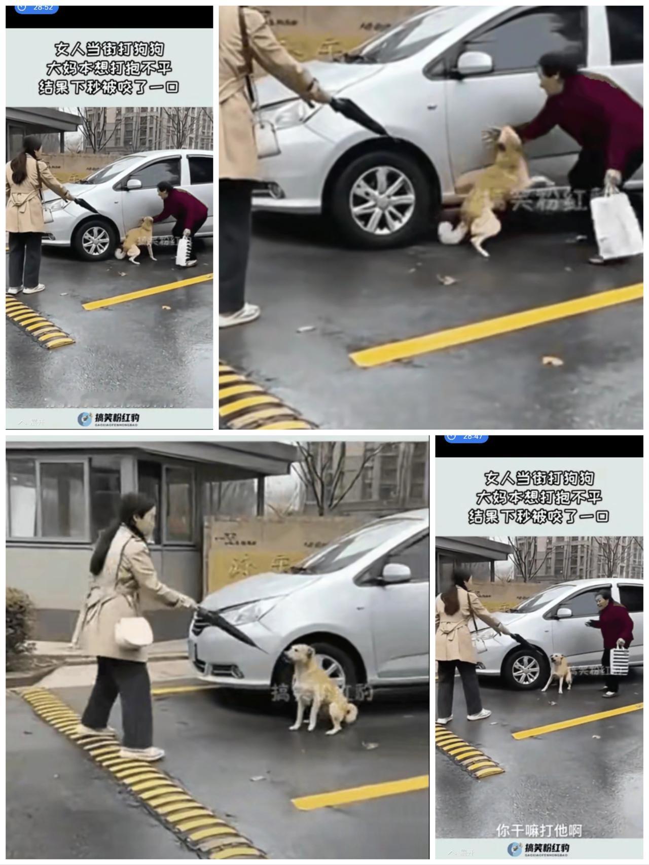 遛狗爆冲突！
一巴掌咬出千元账单，这笔钱该谁扛？别再乱站队了！
 
      