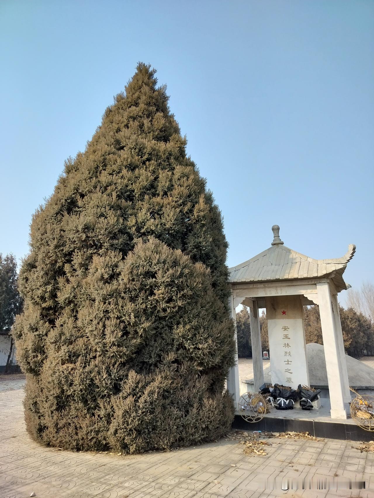 今年冬天的不同