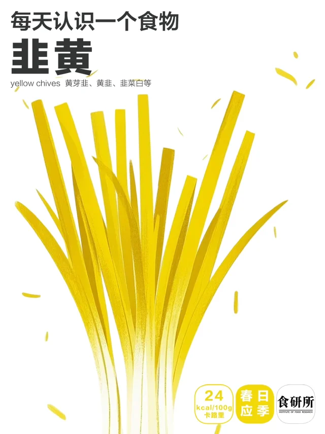 🥗早春韭黄一束金，春日必吃洗肠草！