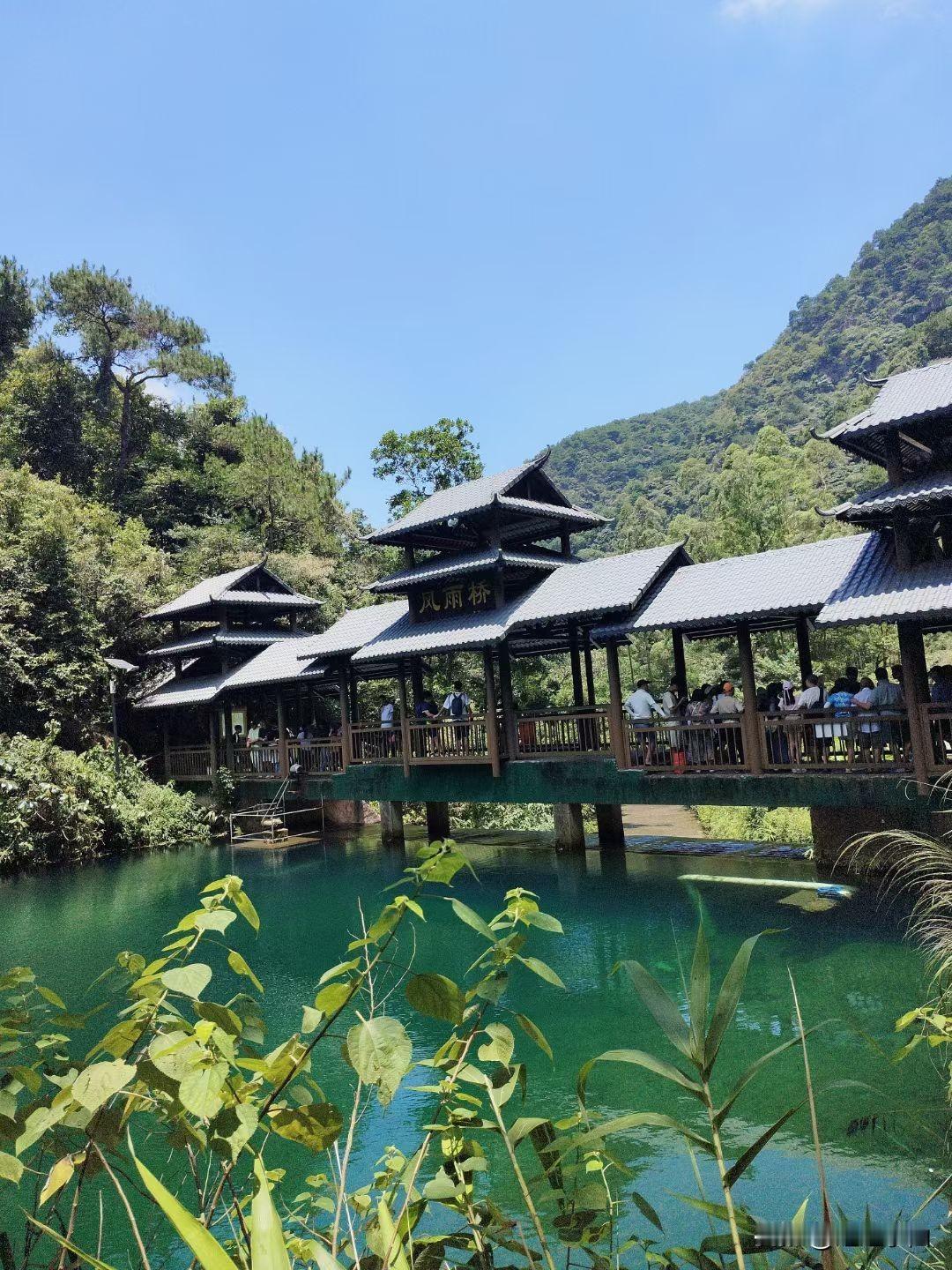 公园美丽景随拍