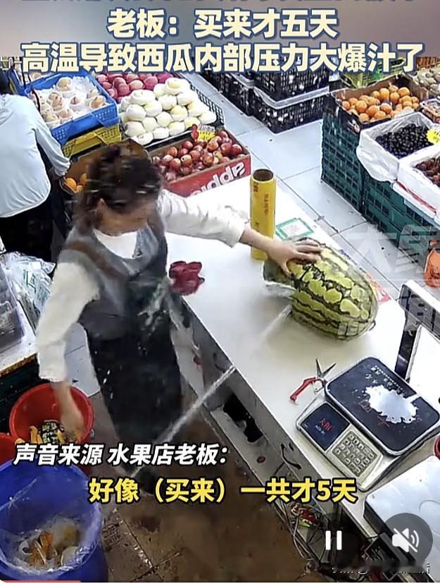 高温天切西瓜