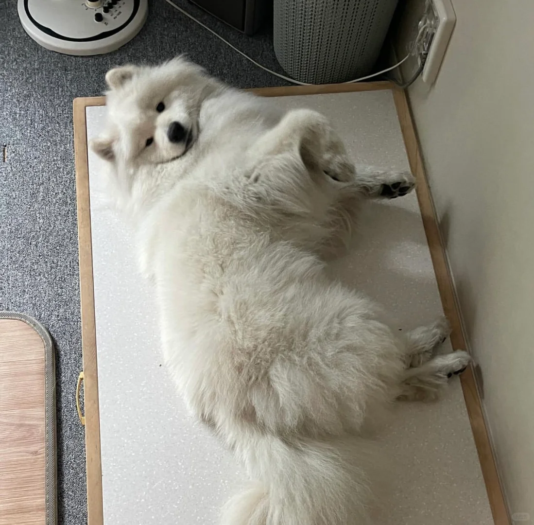 把灯关上，我要睡觉了，谢谢