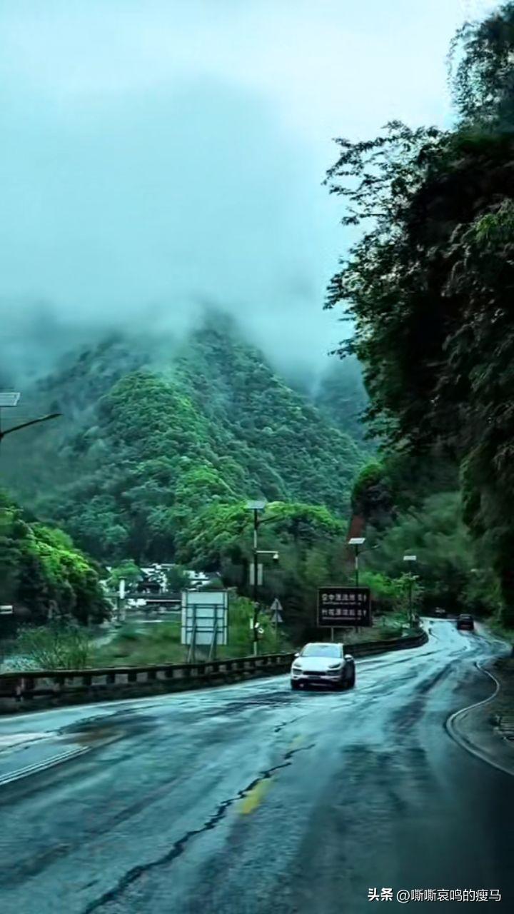 一叶知秋，一人知世
 
时序流转，刚过立秋。风里的燥热悄悄褪去，晨起的风带着一丝