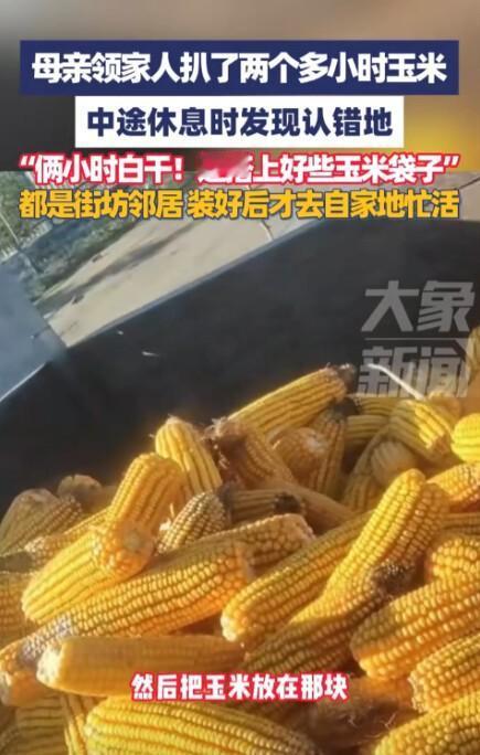 “丢人丢大了！”10月7日，黑龙江齐齐哈尔，一女子领着家人去地里扒玉米，干了2个