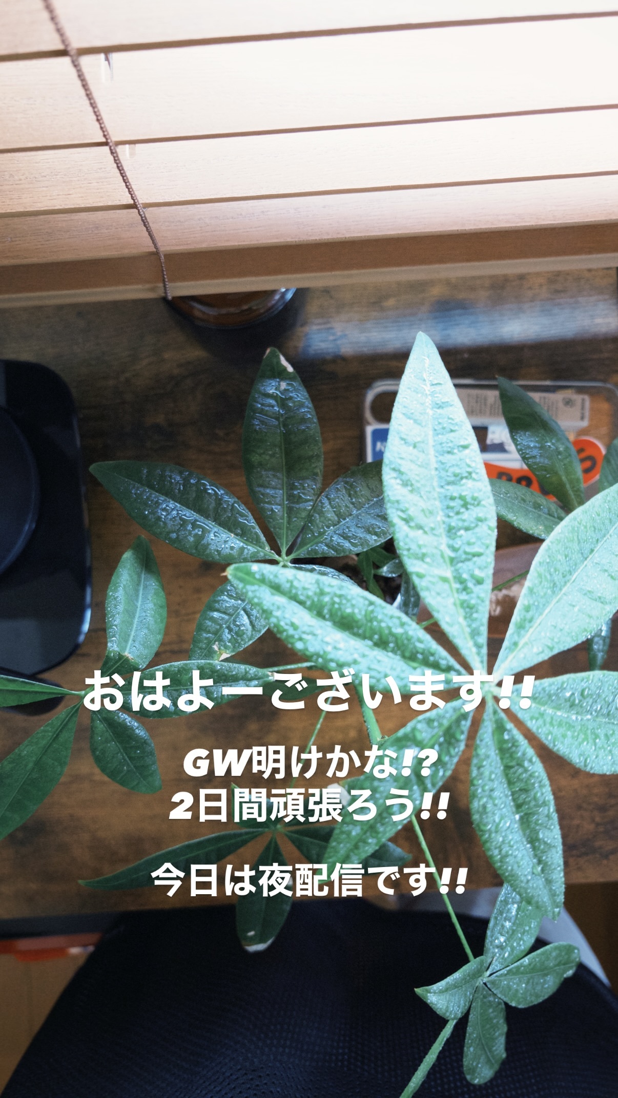 榊原徹士（ins 快拍 