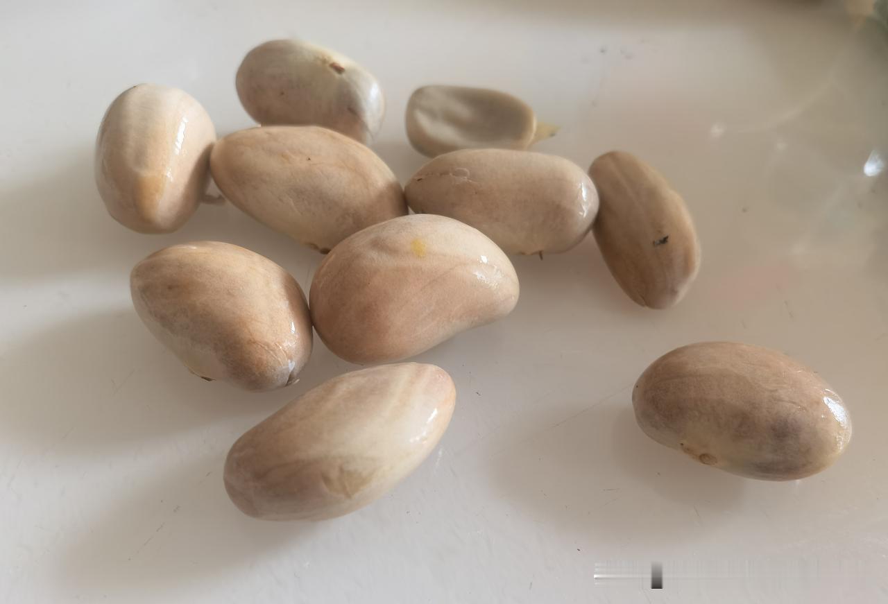这个端午节，为什么这么冷清？

        今年的端午，少了往年的热闹喧嚣，