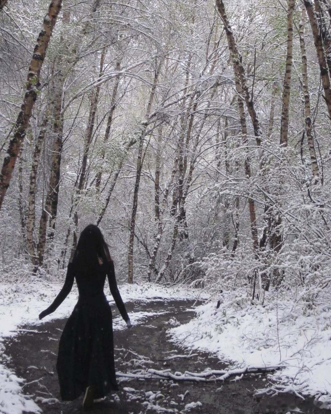 看到了雪 