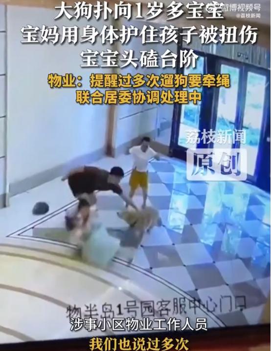“必须严惩！”广东广州，一女子正带着孩子在楼下玩耍，突然，一条没有栓绳的大狗冲向