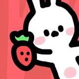 娇琪玩玩科技