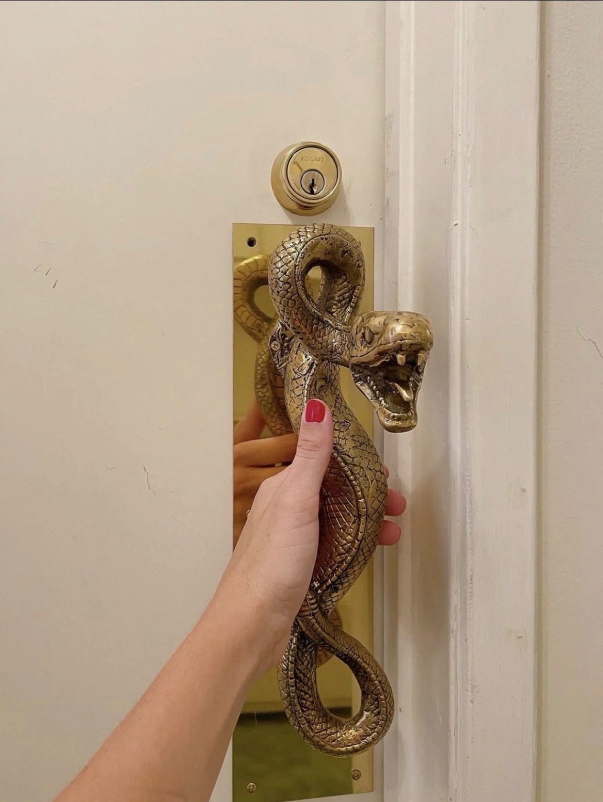 好喜欢这个门把手🐍 