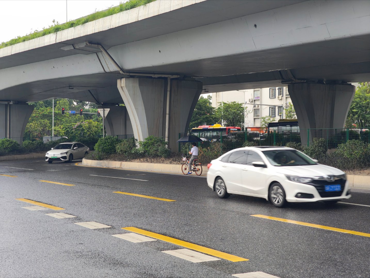 久违了，膜拜共享单车 广州·东湖映月