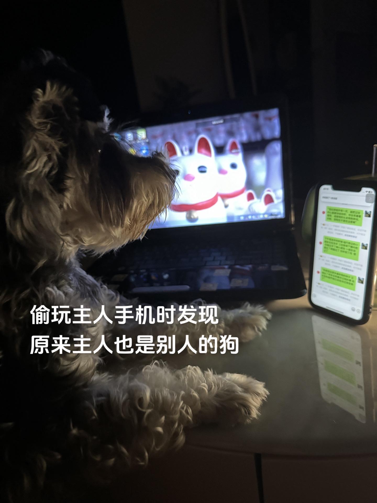 陪你走过的路 想想都想吐