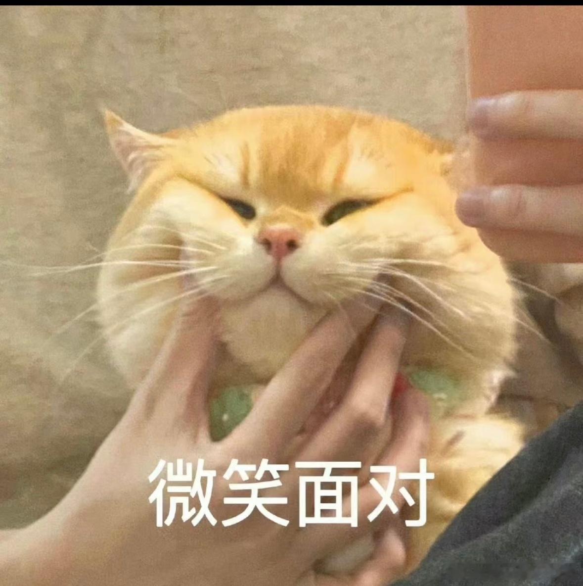 现在上班呢 每天先给自己点杯喝的 把自己哄一哄，然后把老板吐槽半天，心里通畅了，