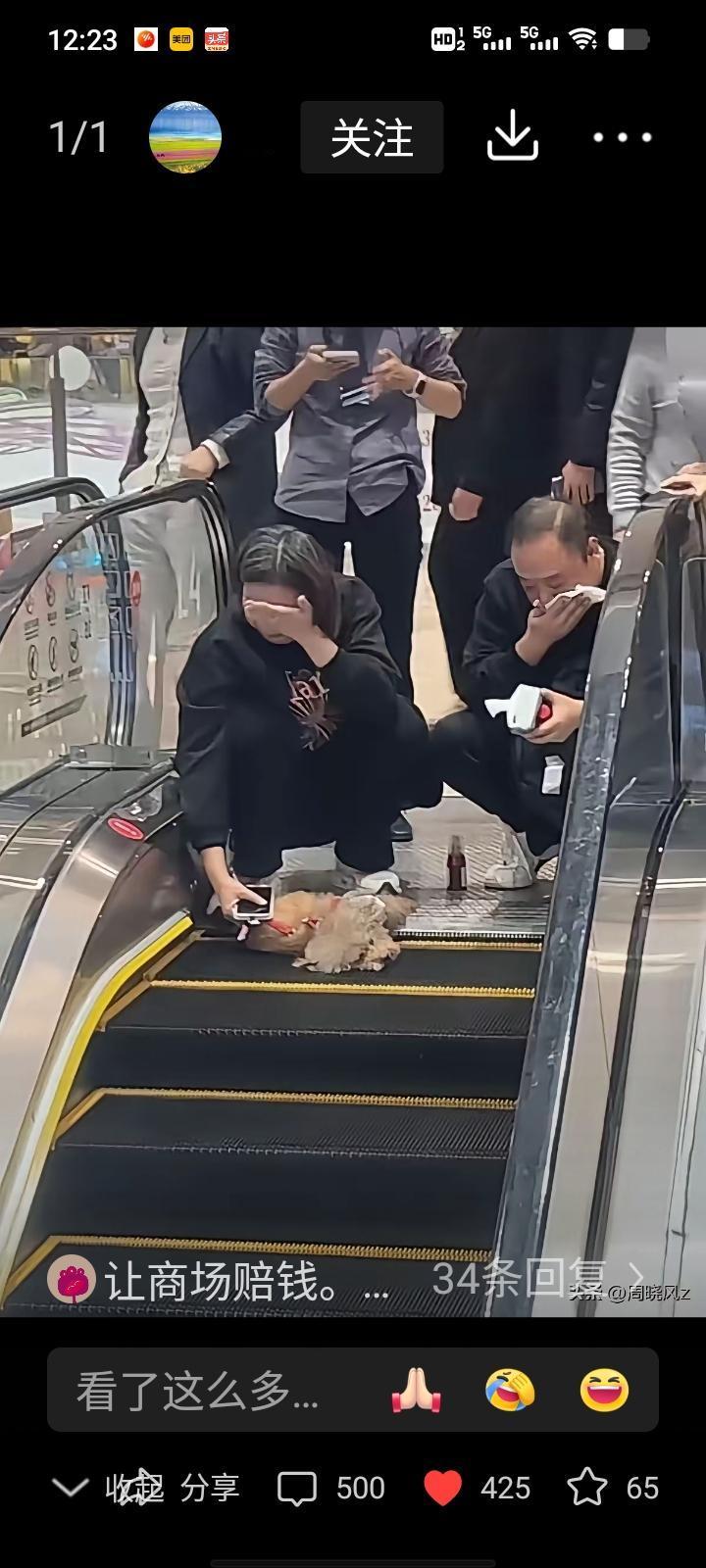 商场里撞见揪心一幕，一对夫妻带狗逛商场，上扶梯既不牵绳也不抱狗，就让小狗跟在旁边