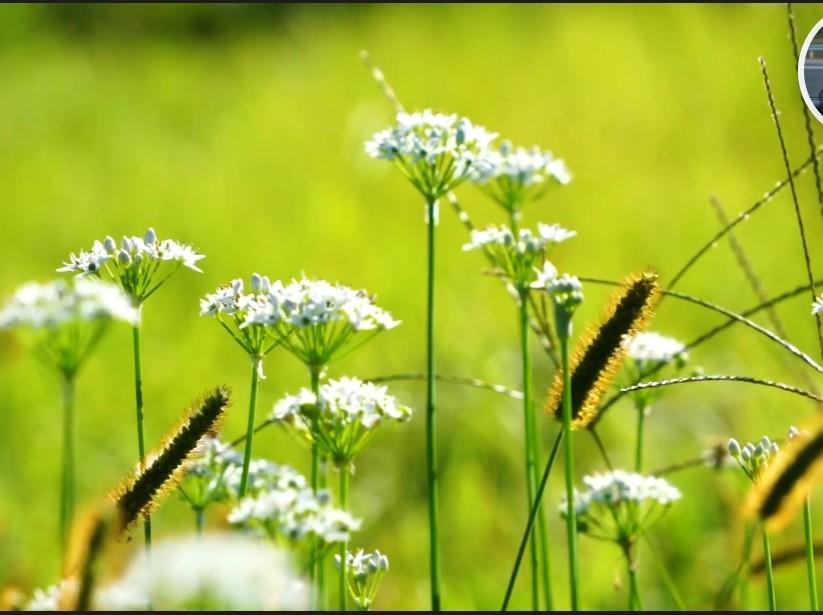 快来看看我新换的主页背景吧