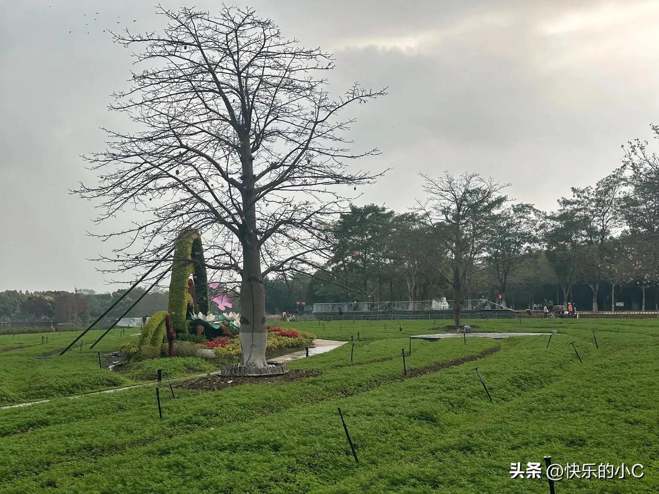 要说世界上唯一绝对公平的东西，我第一个想到的就是时间。

不管你是什么身份，一天