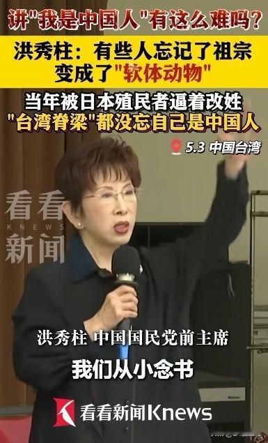 洪秀柱的这段话，台湾人都应该好好听一听！
“讲我是中国人有这么难吗？我们从小念书